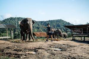 BIB: 203
                            <button type="button" onclick="openModal(22423610)" class="btn btn-primary btn-sm float-right btn-popup" data-toggle="modal" data-target=".modal-high-quality">
                        <i class="fas fa-shopping-cart"></i> Add to Cart
                    </button>
                                            <button type="button" onclick="isThisMe(22423610, true)" class="btn btn-success btn-sm float-right btn-popup btn-isme hidden" data-toggle="tooltip" data-placement="bottom" title="นี่คือรูปของคุณใช่ไหม คลิกที่นี่เพื่อเอาเข้าอัลบั้ม">
                        <i class="fas fa-plus"></i> Add to album
                    </button>
                    <button type="button" onclick="isThisMe(22423610, false)" class="btn btn-warning btn-sm float-right btn-popup btn-isnotme hidden">
                        <i class="fas fa-ban"></i> Remove from album
                    </button>